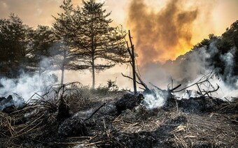 Оценка ущерба после стихийного бедствия в Туле: отчет оценщика